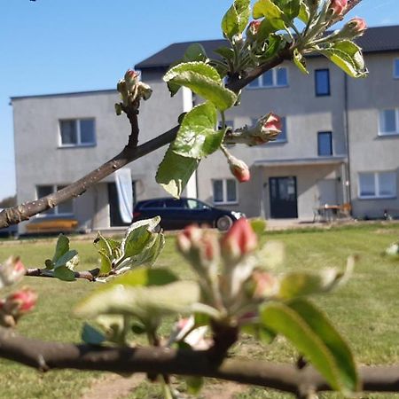 Noclegi Nad Biebrza Stara Szkola Wrocen Buitenkant foto