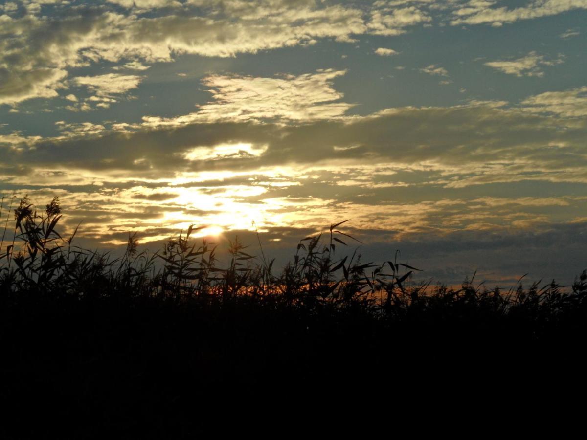 Noclegi Nad Biebrza Stara Szkola Wrocen Buitenkant foto