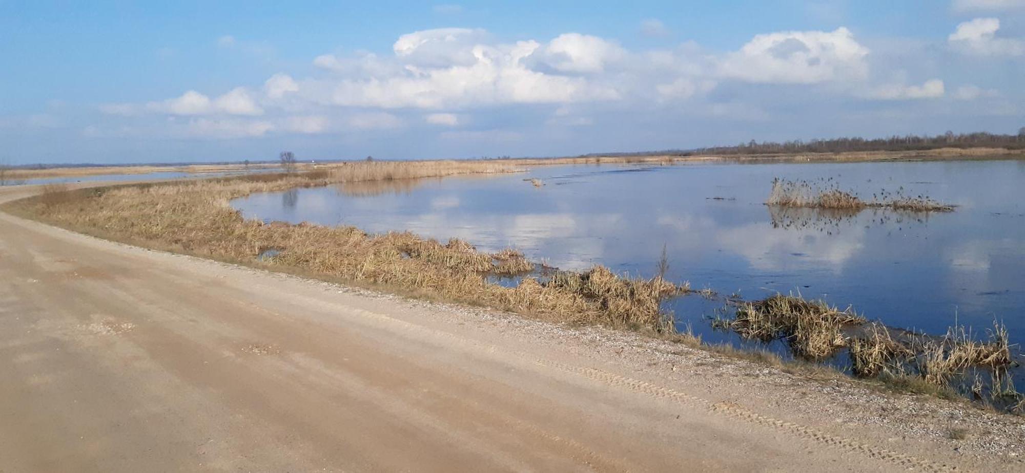 Noclegi Nad Biebrza Stara Szkola Wrocen Buitenkant foto