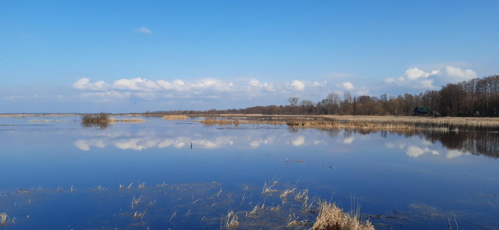 Noclegi Nad Biebrza Stara Szkola Wrocen Buitenkant foto