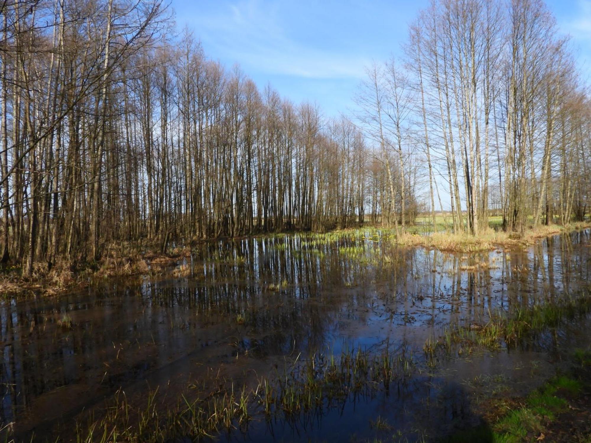 Noclegi Nad Biebrza Stara Szkola Wrocen Buitenkant foto