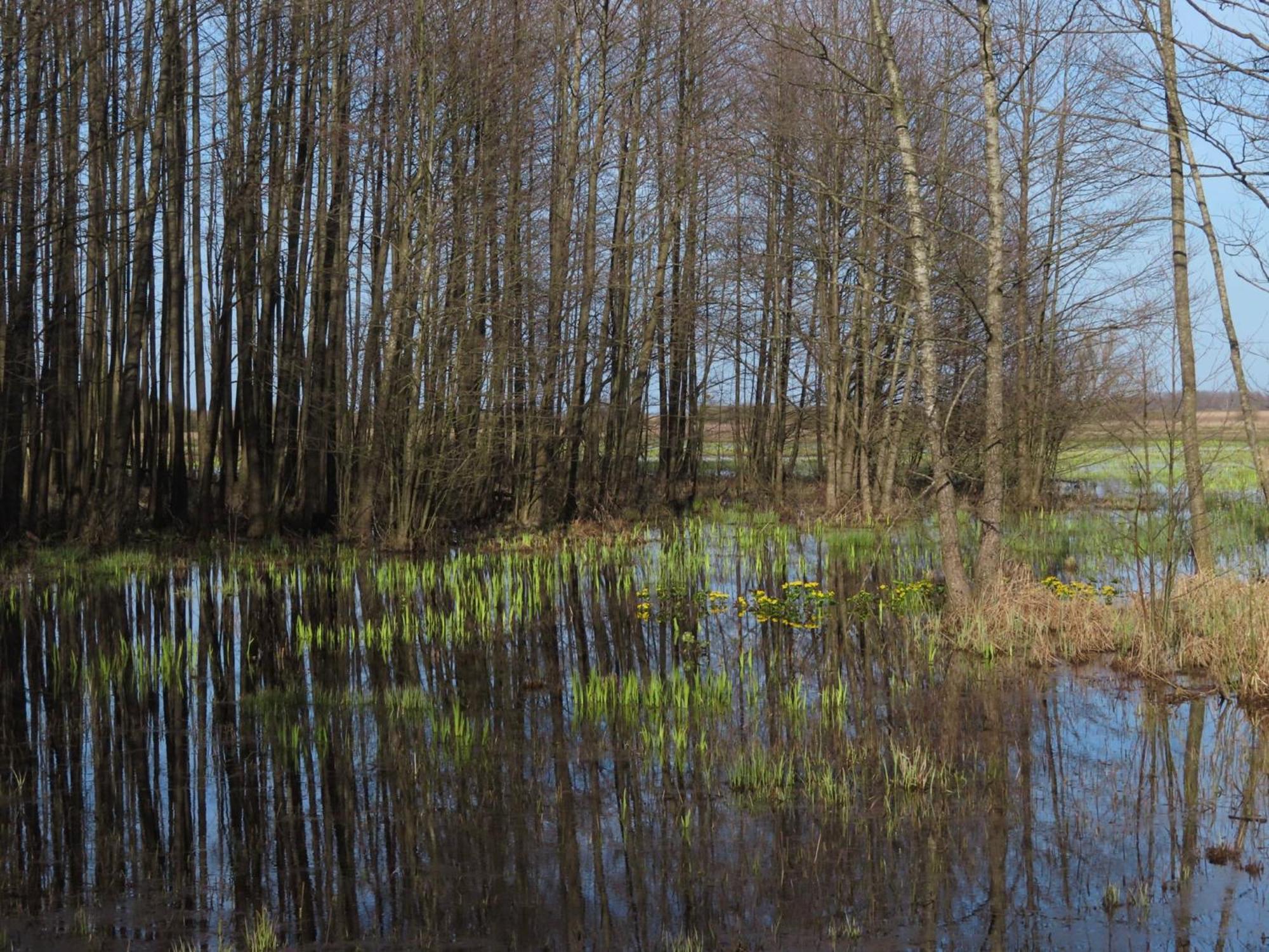 Noclegi Nad Biebrza Stara Szkola Wrocen Buitenkant foto