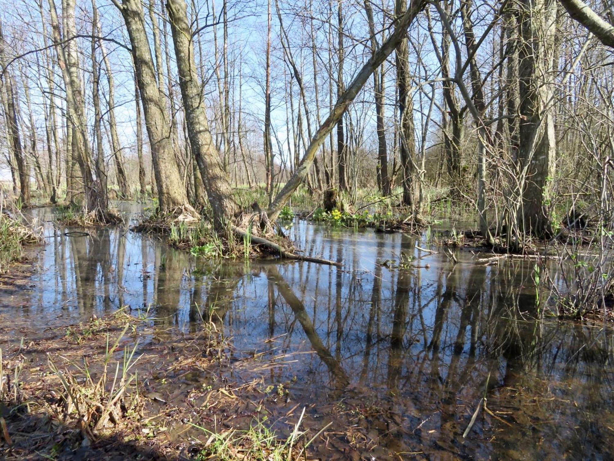 Noclegi Nad Biebrza Stara Szkola Wrocen Buitenkant foto
